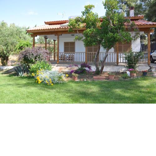 Jimmys Nature House
