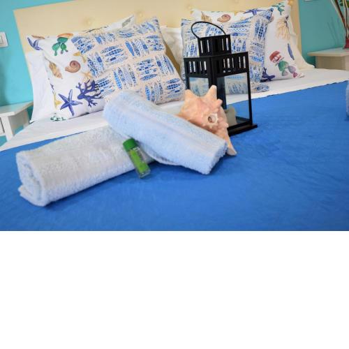 Joanna Studio Flat 217