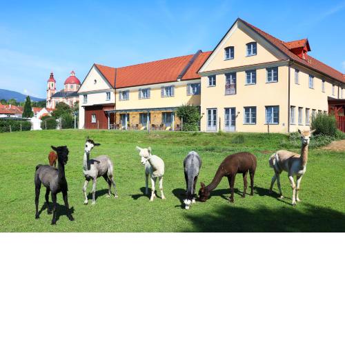 JUFA Hotel Pöllau - Bio Landerlebnis