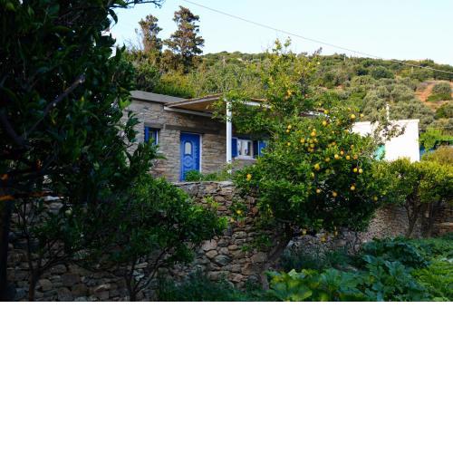 K vineyard house
