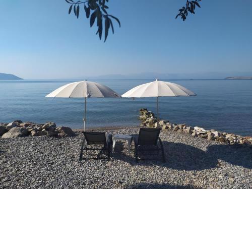 Kalafatis beach home