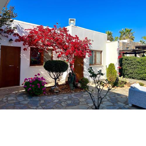 Kali Holiday Apartments