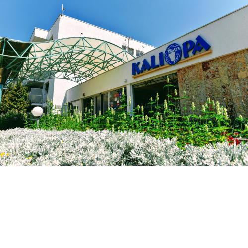 Kaliopa Hotel