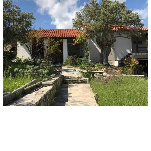 KALIVI Olive Farm Guest House