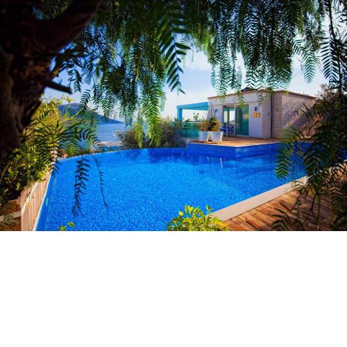 Kalkan Asfiya