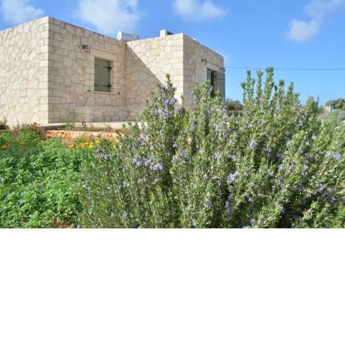 Kalypso Apartments