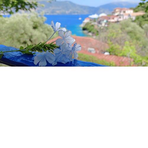 KAMINAKIA Apartments & Studios - Adults only policy - Quietness - Breathtaking sea views - 12x6m swimming pool exclusively for residents' use