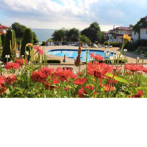 Kapriz Apartment