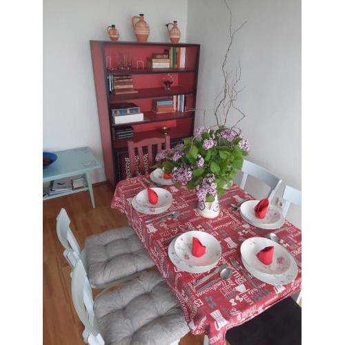Karos Vintage House