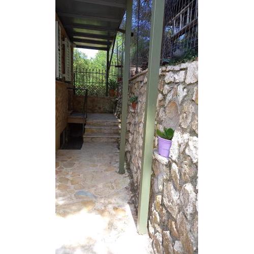 Kassi's House