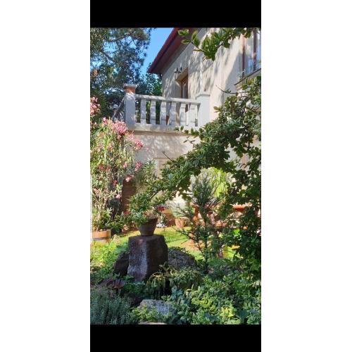 Kasza Villa