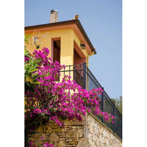 Katerina's Houses