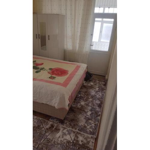 Kayseri Merkez Erciyes Daire