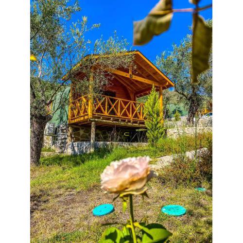 Kazdağları Sağlıklı Yaşam Köyü