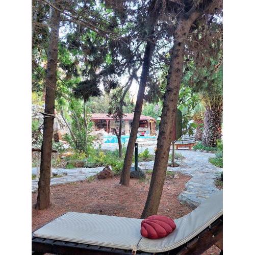 Kemerbag 29 Guest House 12 Yaş Üstü