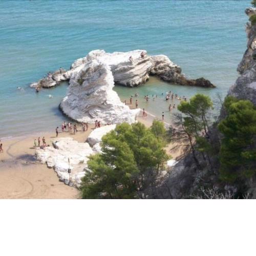 Kimera Beach Apartments