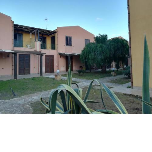Kite Francy's house