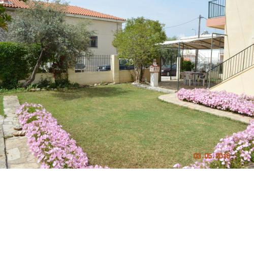 Klementine's House