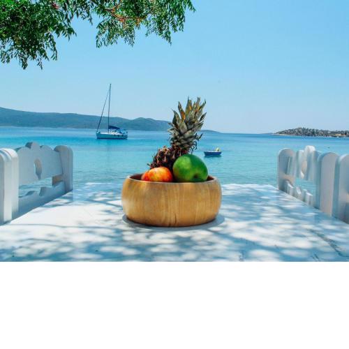 Klima Paradise