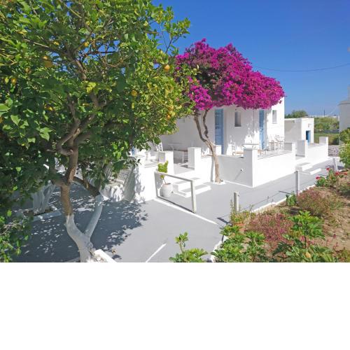 Klironomos Apartments Logaras