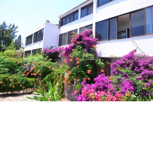 Kommeno Linga Longa Apartments with sea view and beach