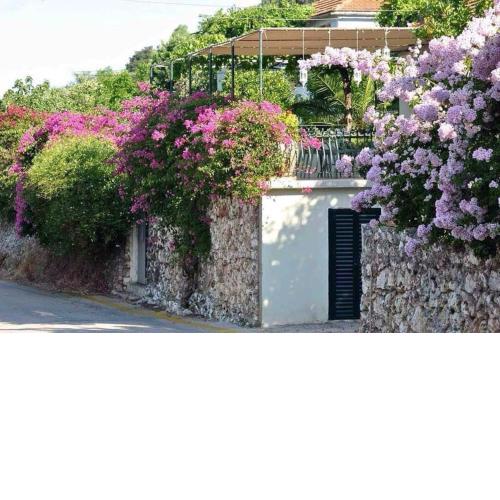 Konstantinas House, a touch of nature & sea