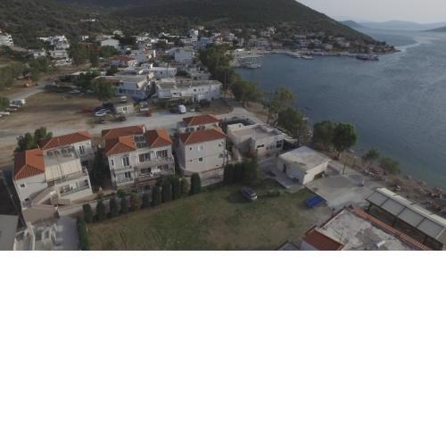 Korali