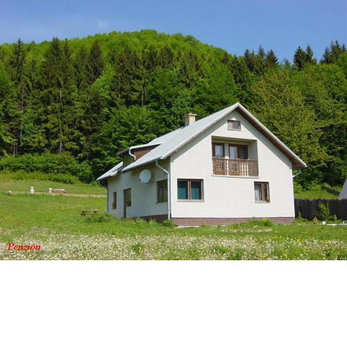 Kordíky