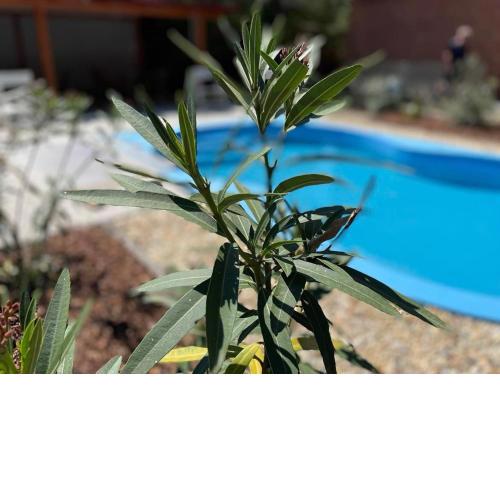 Kovács Apartman Kunfehértó