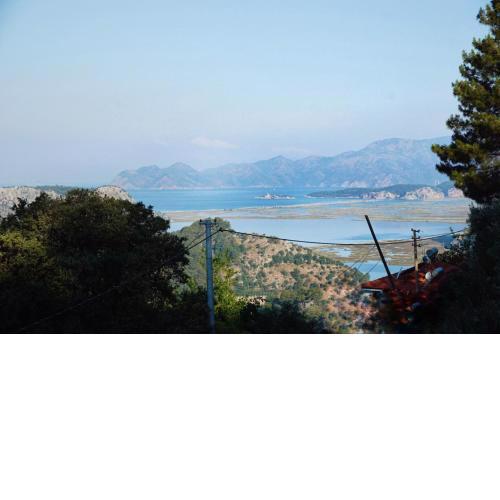 Kozalak Evleri