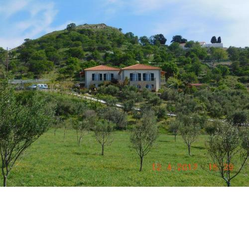 Ktima Pyroessa Yellow Suite