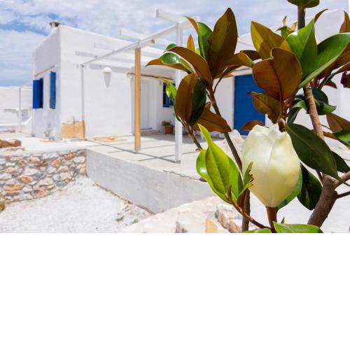 Ktima San Antonio Paros - Artemis