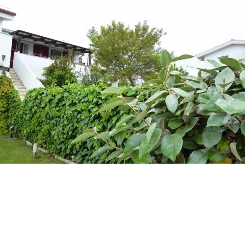 L03 Grazioso bilocale con giardino e posto auto