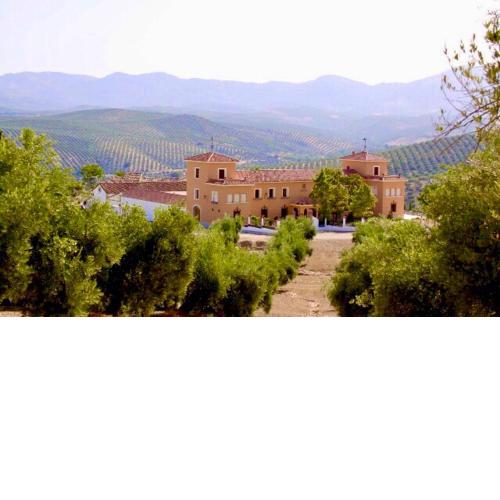 La Almedina: Palacio de Foronda