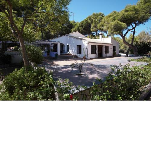 La Ardilla