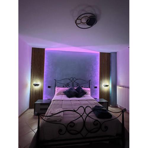 La balena bianca house
