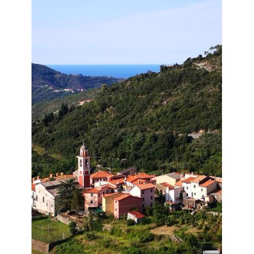 La Bargonella