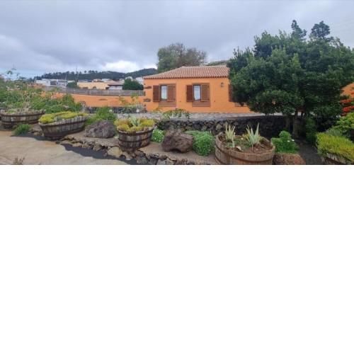 La Bodega A