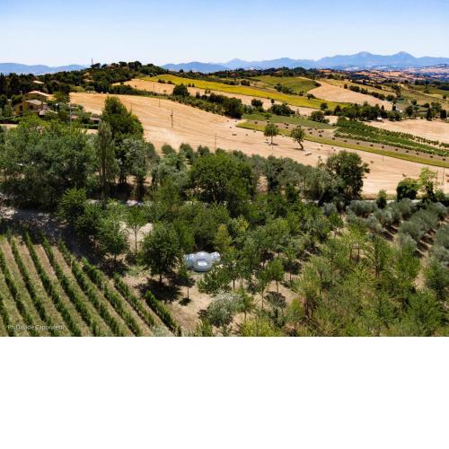 La Bolla del Borgo. Le Marche tra le stelle.