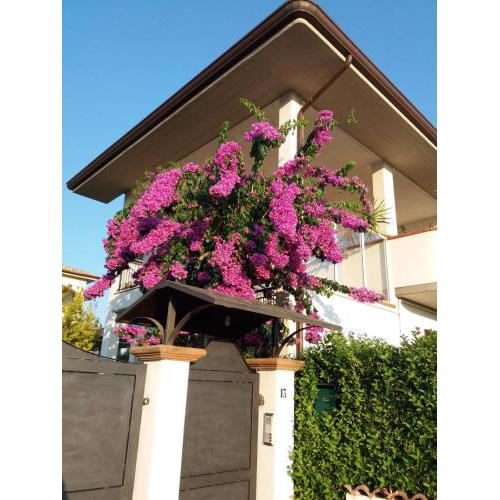 La Bouganville di Sante e Rosa