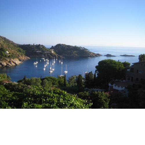 La Bouganville