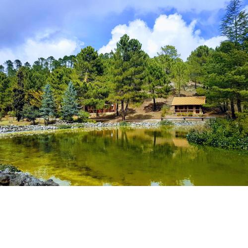 La cabaña del lago en ZAFIRO LAGUNAZO Parque Natural del Río Mundo