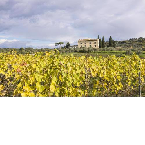 La Capannaccia