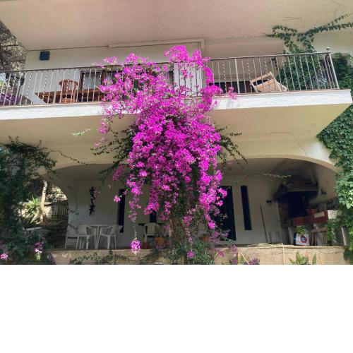 La Casa Bonita