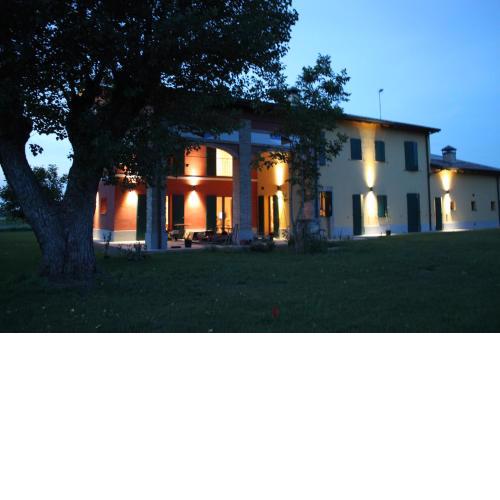 La casa dei gatti