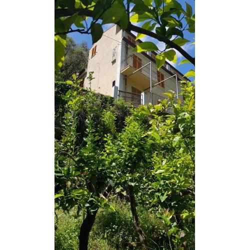 La Casa Dei Limoni