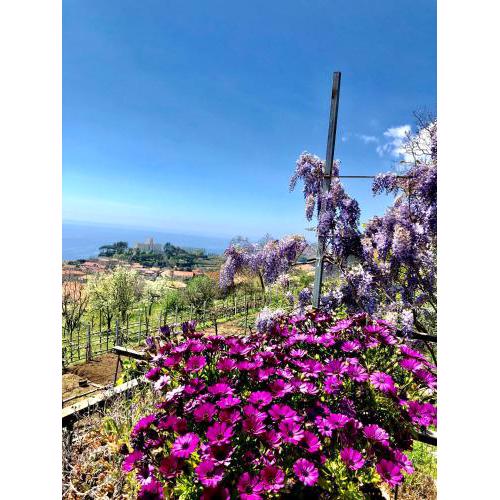 La Casa Dei Nonni