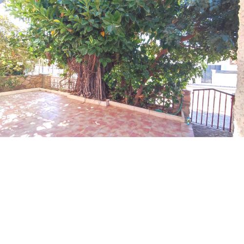 La Casa del Ficus