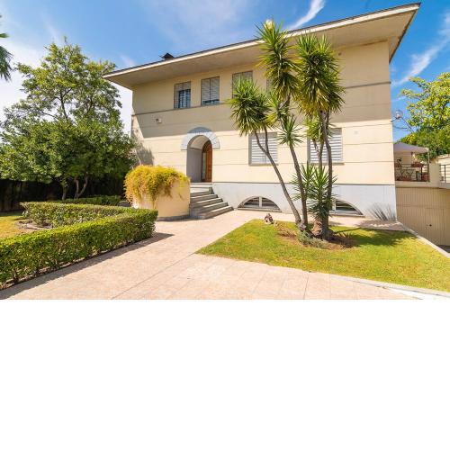 La casa del olivo en Córdoba