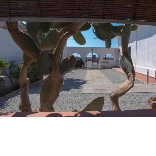 La Casa Del Tono